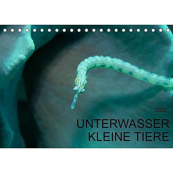 UNTERWASSER KLEINE TIERE (Tischkalender 2023 DIN A5 quer), Karsten Schulze