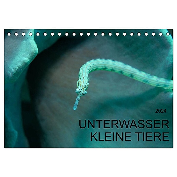 UNTERWASSER KLEINE TIERE (Tischkalender 2024 DIN A5 quer), CALVENDO Monatskalender, Karsten Schulze