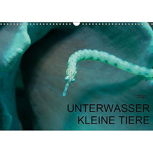 UNTERWASSER KLEINE TIERE (Wandkalender 2021 DIN A3 quer), Karsten Schulze