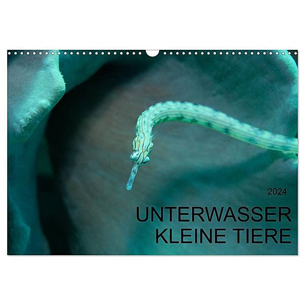 UNTERWASSER KLEINE TIERE (Wandkalender 2024 DIN A3 quer), CALVENDO Monatskalender, Karsten Schulze