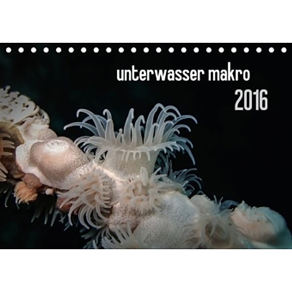 unterwasser makro 2016 (Tischkalender 2016 DIN A5 quer), Claudia Weber-Gebert