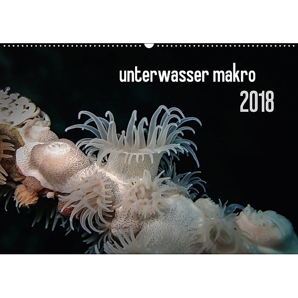 unterwasser makro 2018 (Wandkalender 2018 DIN A2 quer), Claudia Weber-Gebert