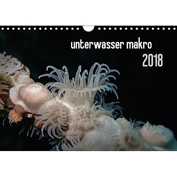 unterwasser makro 2018 (Wandkalender 2018 DIN A4 quer), Claudia Weber-Gebert