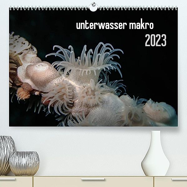 unterwasser makro 2023 (Premium, hochwertiger DIN A2 Wandkalender 2023, Kunstdruck in Hochglanz), Claudia Weber-Gebert