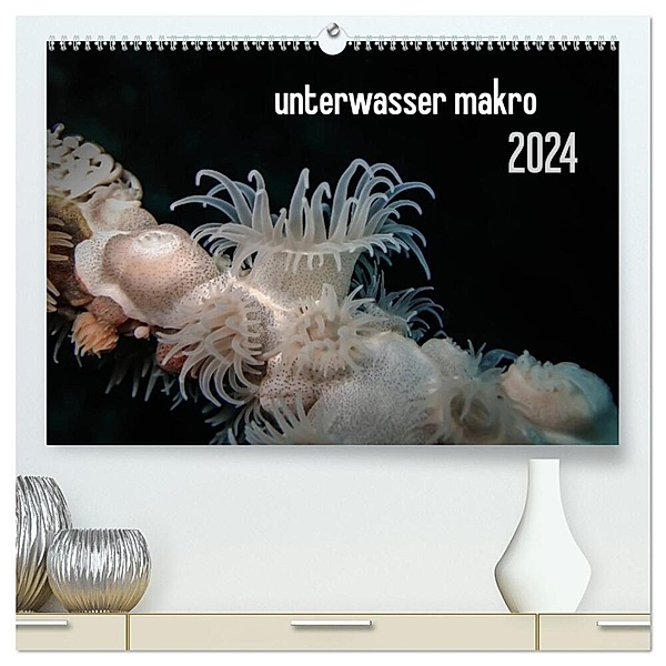 unterwasser makro 2024 (hochwertiger Premium Wandkalender 2024 DIN A2 quer), Kunstdruck in Hochglanz, Claudia Weber-Gebert