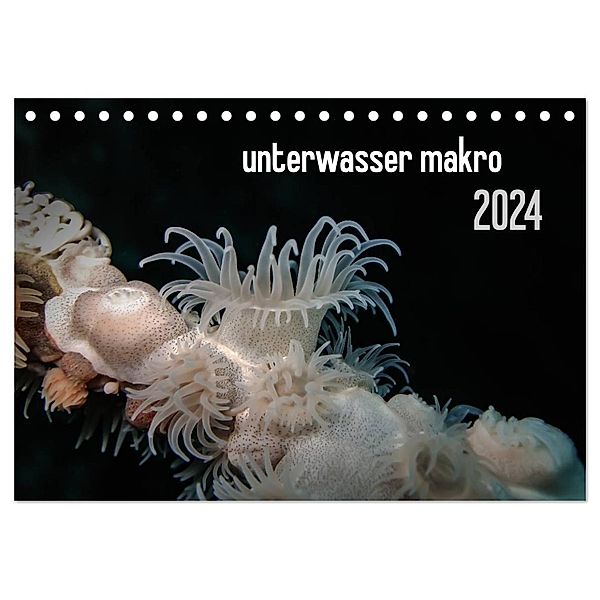unterwasser makro 2024 (Tischkalender 2024 DIN A5 quer), CALVENDO Monatskalender, Claudia Weber-Gebert