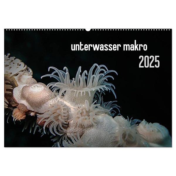 unterwasser makro 2025 (Wandkalender 2025 DIN A2 quer), CALVENDO Monatskalender, Calvendo, Claudia Weber-Gebert