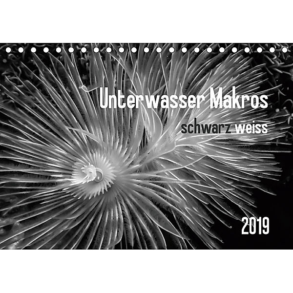 Unterwasser Makros - schwarz weiss 2019 (Tischkalender 2019 DIN A5 quer), Claudia Weber-Gebert