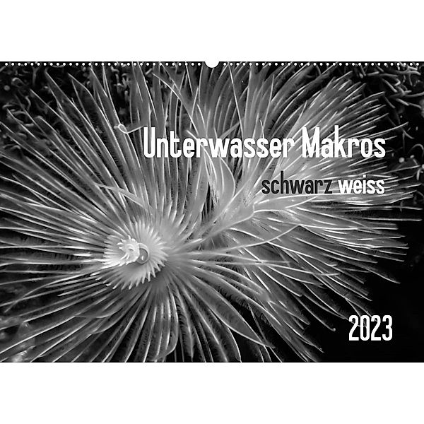 Unterwasser Makros - schwarz weiss 2023 (Wandkalender 2023 DIN A2 quer), Claudia Weber-Gebert