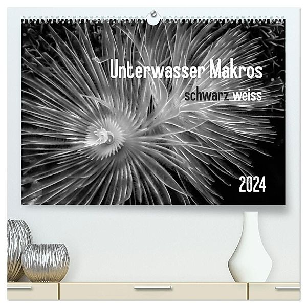 Unterwasser Makros - schwarz weiss 2024 (hochwertiger Premium Wandkalender 2024 DIN A2 quer), Kunstdruck in Hochglanz, Claudia Weber-Gebert