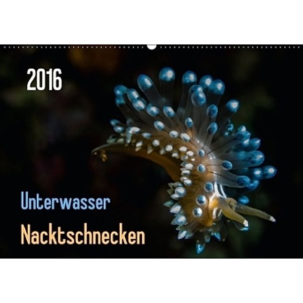 Unterwasser - Nacktschnecken 2016 (Wandkalender 2016 DIN A2 quer), Claudia Weber-Gebert