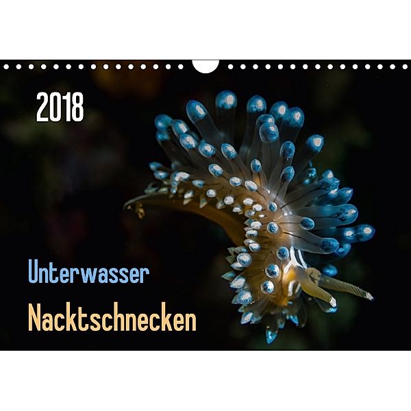 Unterwasser - Nacktschnecken 2018 (Wandkalender 2018 DIN A4 quer), Claudia Weber-Gebert