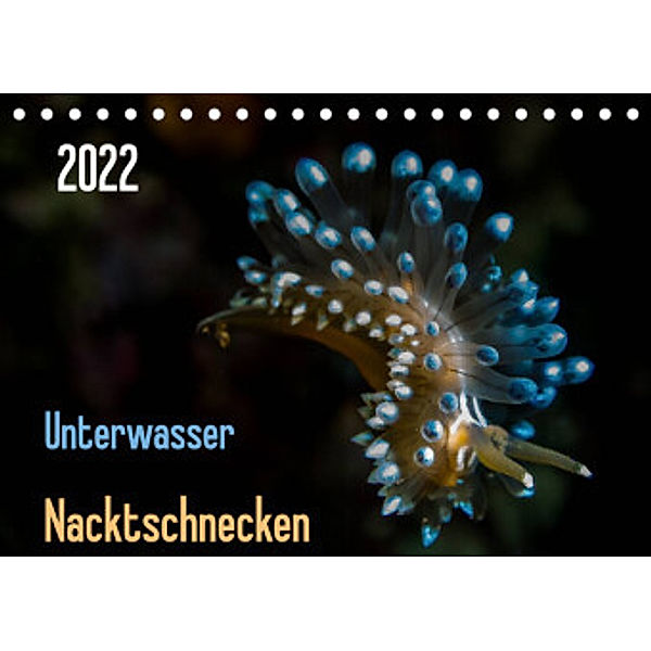 Unterwasser - Nacktschnecken  2022 (Tischkalender 2022 DIN A5 quer), Claudia Weber-Gebert