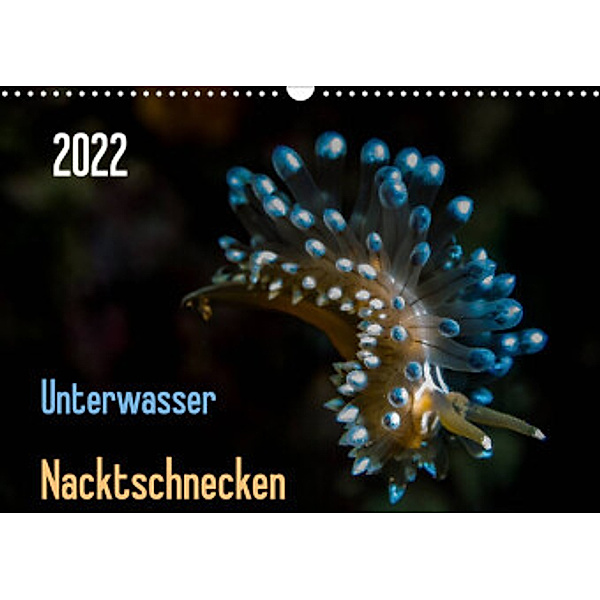 Unterwasser - Nacktschnecken  2022 (Wandkalender 2022 DIN A3 quer), Claudia Weber-Gebert