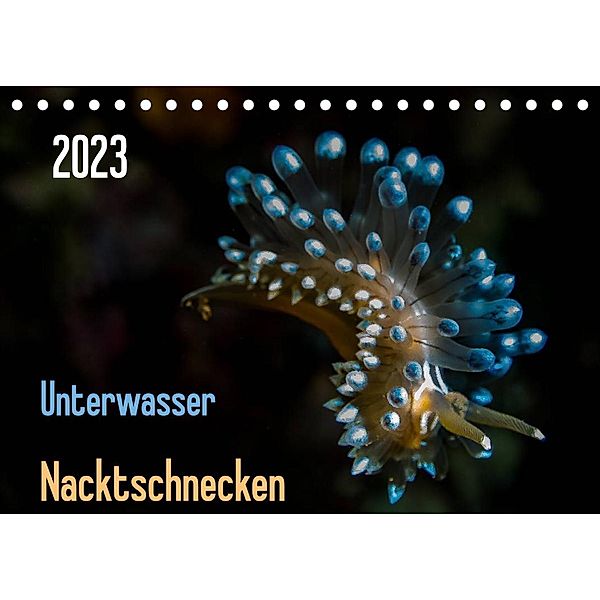 Unterwasser - Nacktschnecken  2023 (Tischkalender 2023 DIN A5 quer), Claudia Weber-Gebert