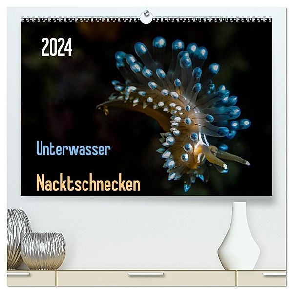 Unterwasser - Nacktschnecken 2024 (hochwertiger Premium Wandkalender 2024 DIN A2 quer), Kunstdruck in Hochglanz, Claudia Weber-Gebert