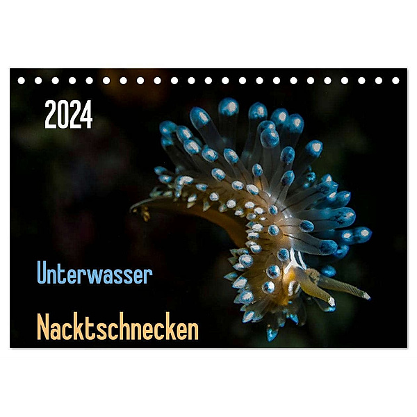 Unterwasser - Nacktschnecken 2024 (Tischkalender 2024 DIN A5 quer), CALVENDO Monatskalender, Claudia Weber-Gebert