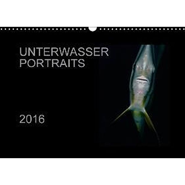 Unterwasser Portraits (Wandkalender 2016 DIN A3 quer), Karsten Schulze / Kerstin Streicher