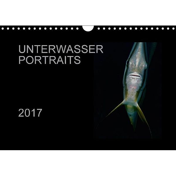 Unterwasser Portraits (Wandkalender 2017 DIN A4 quer), Karsten Schulze / Kerstin Streicher