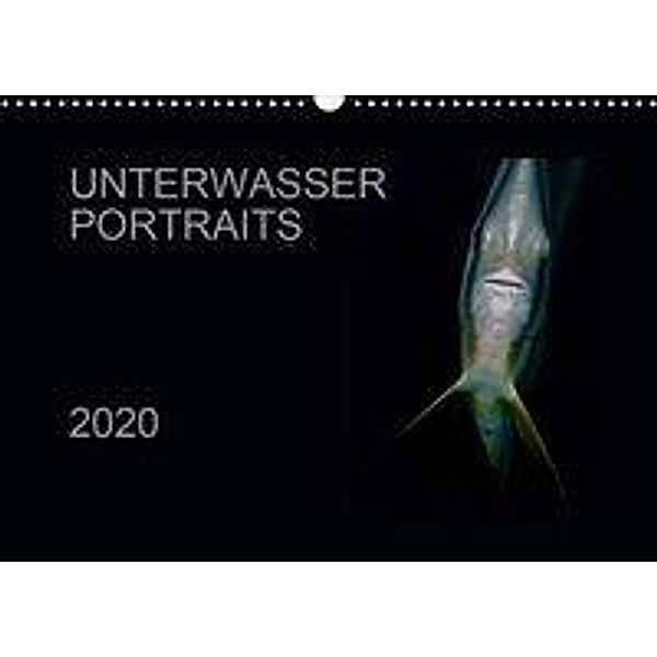 Unterwasser Portraits (Wandkalender 2020 DIN A3 quer), Karsten Schulze / Kerstin Streicher