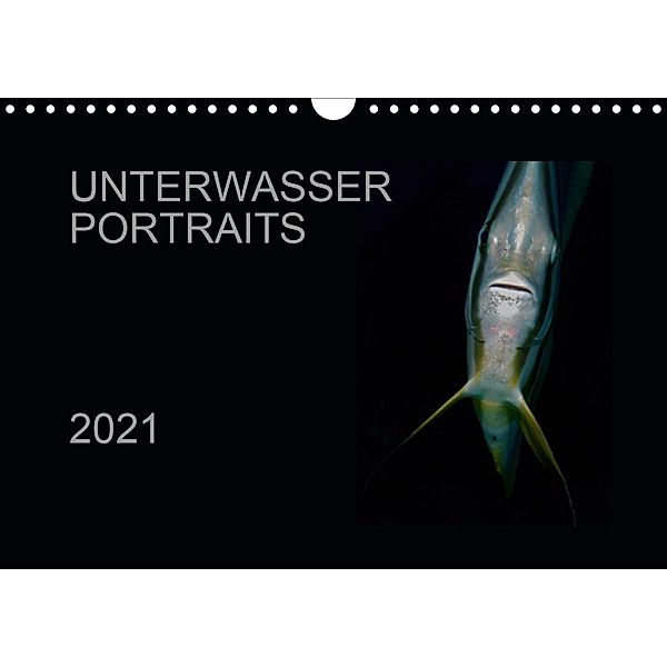 Unterwasser Portraits (Wandkalender 2021 DIN A4 quer), Karsten Schulze / Kerstin Streicher
