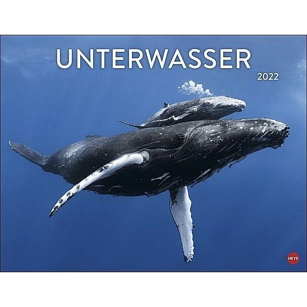 Unterwasser Posterkalender 2022