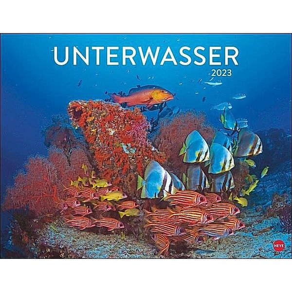 Unterwasser Posterkalender 2023. Spektakulärer Fotokalender im Großformat. Die faszinierende Unterwasserwelt in Bildern