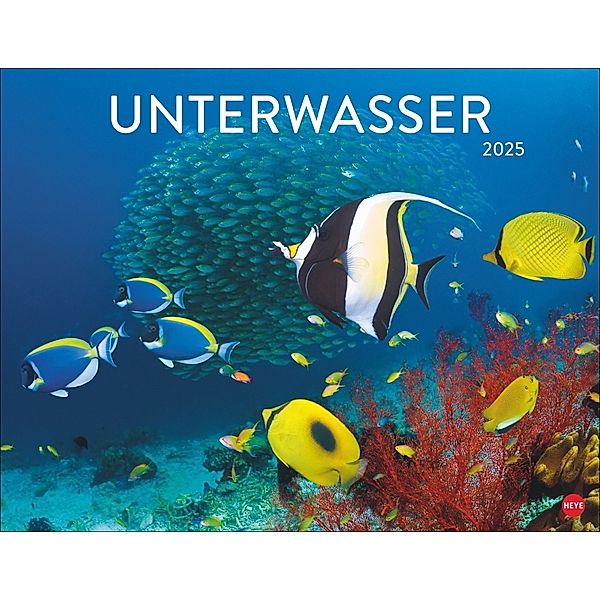 Unterwasser Posterkalender 2025