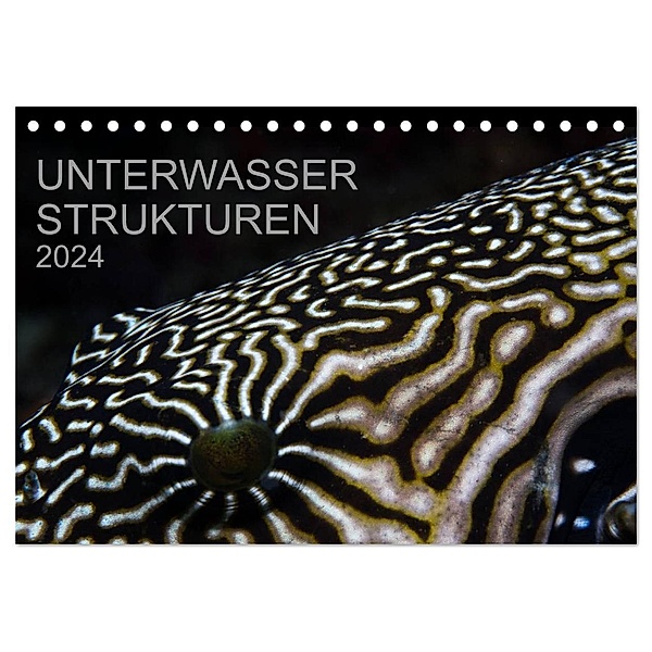 Unterwasser Strukuren (Tischkalender 2024 DIN A5 quer), CALVENDO Monatskalender, Karsten Schulze