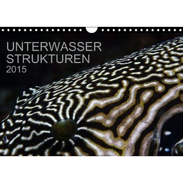 Unterwasser Strukuren (Wandkalender 2015 DIN A4 quer), Karsten Schulze