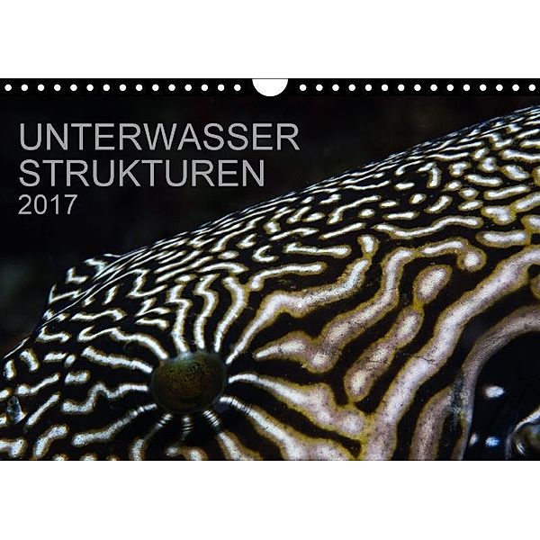 Unterwasser Strukuren (Wandkalender 2017 DIN A4 quer), Karsten Schulze