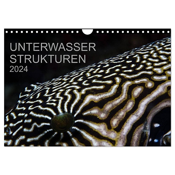 Unterwasser Strukuren (Wandkalender 2024 DIN A4 quer), CALVENDO Monatskalender, Karsten Schulze