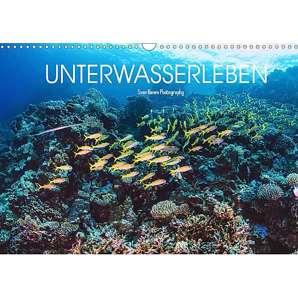 Unterwasserleben (Wandkalender 2019 DIN A3 quer), Sven Riewe