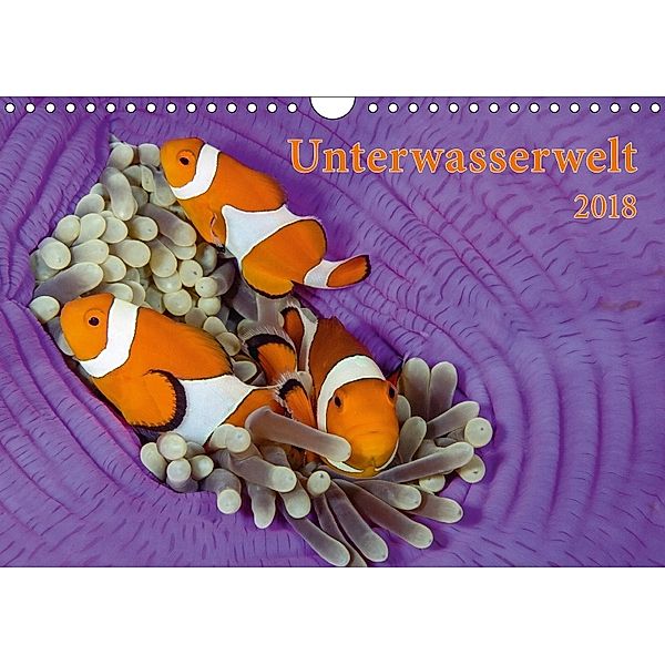 Unterwasserwelt 2018 (Wandkalender 2018 DIN A4 quer), Calendaria AG