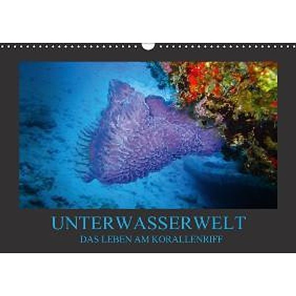 Unterwasserwelt - Das Leben am Korallenriff (Wandkalender 2015 DIN A3 quer), Dirk Meutzner