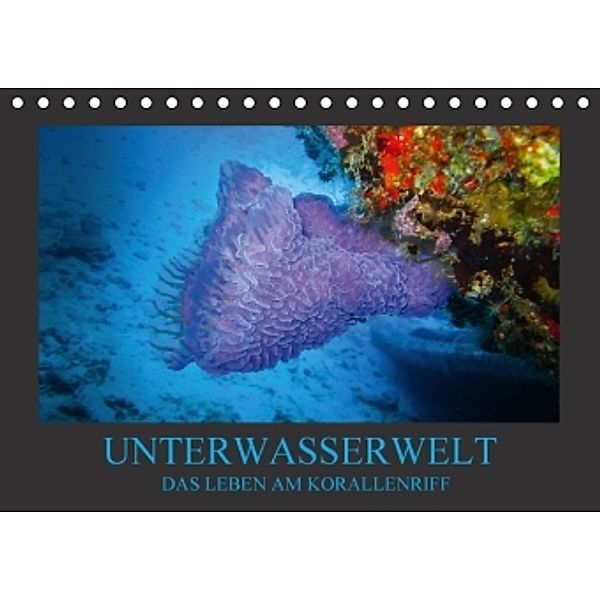 Unterwasserwelt - Das Leben am Korallenriff (Tischkalender 2016 DIN A5 quer), Dirk Meutzner