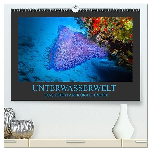 Unterwasserwelt - Das Leben am Korallenriff (hochwertiger Premium Wandkalender 2024 DIN A2 quer), Kunstdruck in Hochglanz, Dirk Meutzner