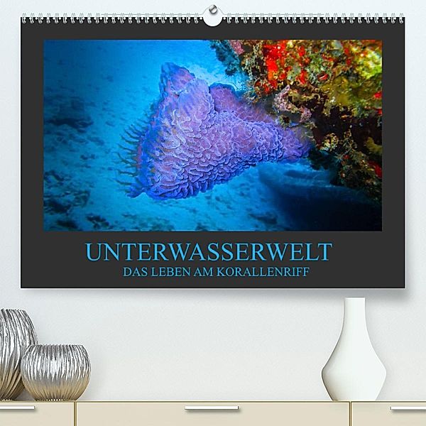 Unterwasserwelt - Das Leben am Korallenriff (Premium, hochwertiger DIN A2 Wandkalender 2023, Kunstdruck in Hochglanz), Dirk Meutzner