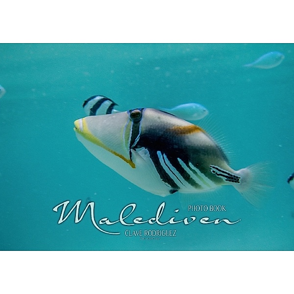 Unterwasserwelt der Malediven I (Posterbuch DIN A4 quer), Clave Rodriguez
