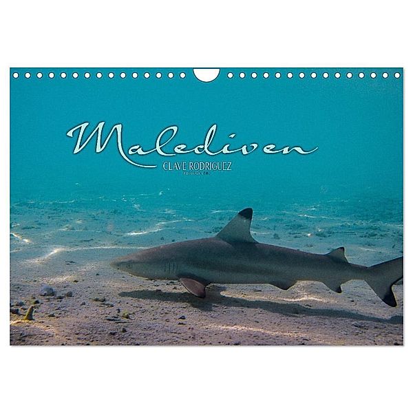 Unterwasserwelt der Malediven I (Wandkalender 2024 DIN A4 quer), CALVENDO Monatskalender, CLAVE RODRIGUEZ Photography