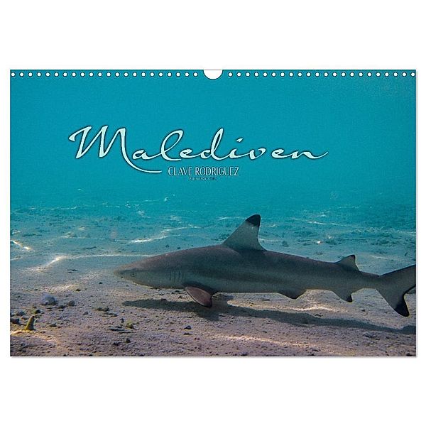Unterwasserwelt der Malediven I (Wandkalender 2024 DIN A3 quer), CALVENDO Monatskalender, CLAVE RODRIGUEZ Photography