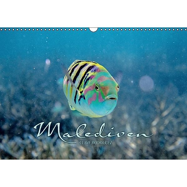 Unterwasserwelt der Malediven II (Wandkalender 2014 DIN A3 quer), Clave Rodriguez