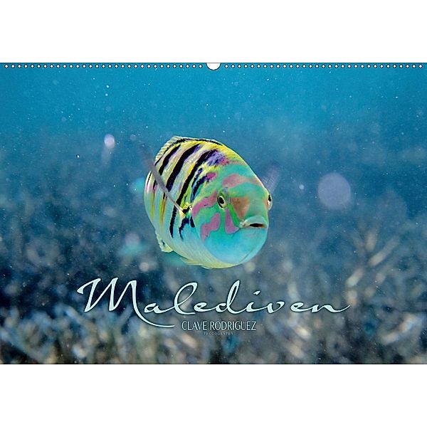 Unterwasserwelt der Malediven II (Wandkalender 2020 DIN A2 quer), Clave Rodriguez