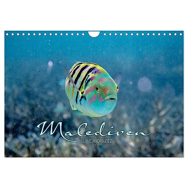 Unterwasserwelt der Malediven II (Wandkalender 2024 DIN A4 quer), CALVENDO Monatskalender, CLAVE RODRIGUEZ Photography