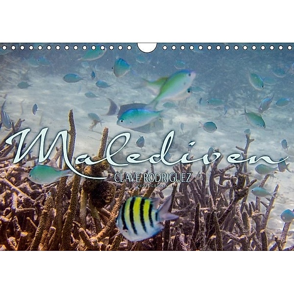 Unterwasserwelt der Malediven III (Wandkalender 2017 DIN A4 quer), Clave Rodriguez