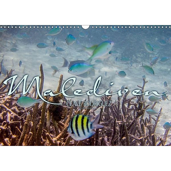 Unterwasserwelt der Malediven III (Wandkalender 2020 DIN A3 quer), Clave Rodriguez