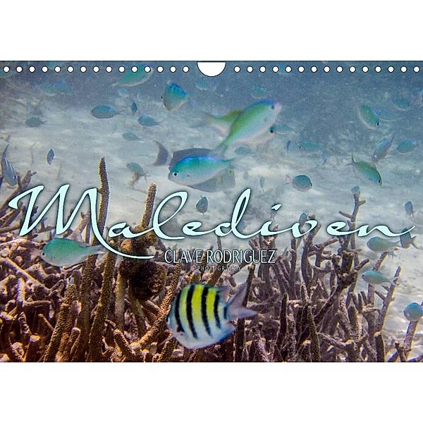 Unterwasserwelt der Malediven III (Wandkalender 2023 DIN A4 quer), CLAVE RODRIGUEZ Photography