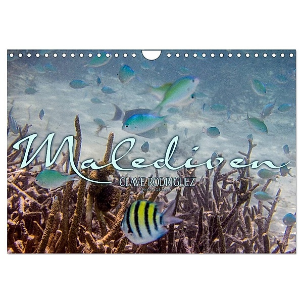 Unterwasserwelt der Malediven III (Wandkalender 2024 DIN A4 quer), CALVENDO Monatskalender, CLAVE RODRIGUEZ Photography