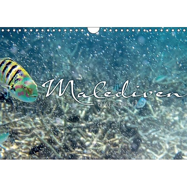 Unterwasserwelt der Malediven IV (Wandkalender 2017 DIN A4 quer), Clave Rodriguez