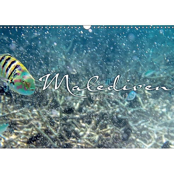 Unterwasserwelt der Malediven IV (Wandkalender 2018 DIN A3 quer), Clave Rodriguez